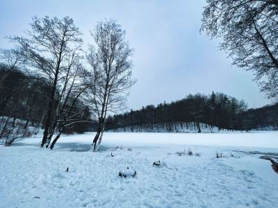 Ośrodek Balaton Ośrodek Balaton
