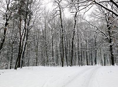 Ośrodek Balaton Ośrodek Balaton