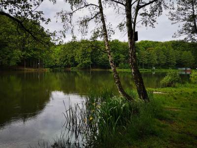 Ośrodek Balaton Ośrodek Balaton