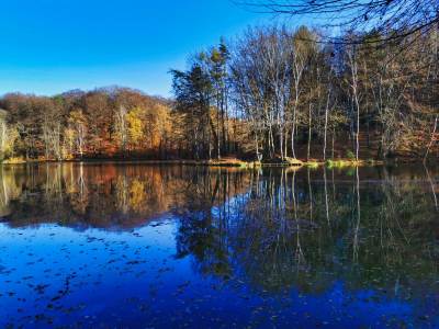 Ośrodek Balaton Ośrodek Balaton