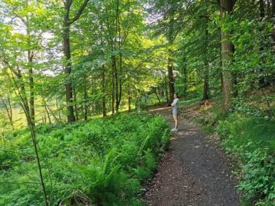 Ośrodek Balaton Ośrodek Balaton