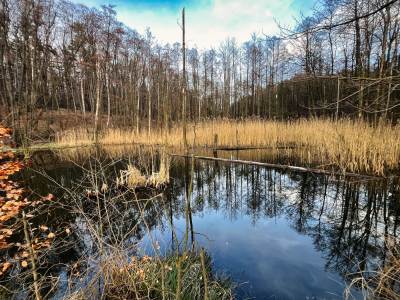 Ośrodek Balaton Ośrodek Balaton