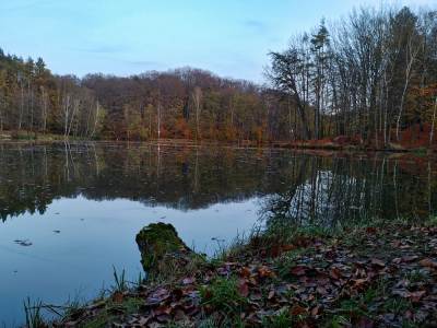Ośrodek Balaton Ośrodek Balaton