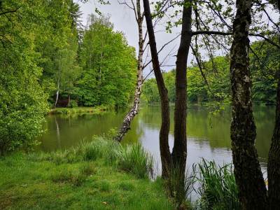 Ośrodek Balaton Ośrodek Balaton