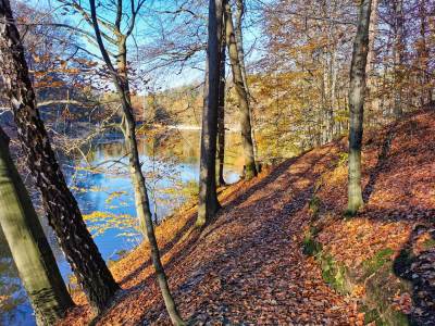 Ośrodek Balaton Ośrodek Balaton