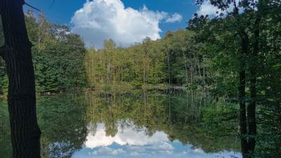 Ośrodek Balaton Ośrodek Balaton
