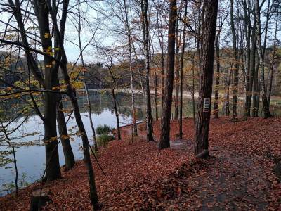 Ośrodek Balaton Ośrodek Balaton