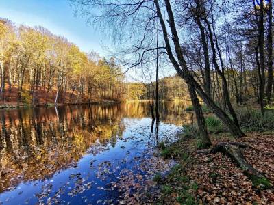 Ośrodek Balaton Ośrodek Balaton