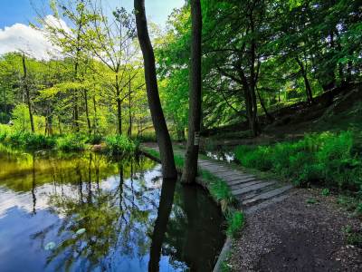 Ośrodek Balaton Ośrodek Balaton