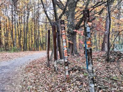 Ośrodek Balaton Ośrodek Balaton
