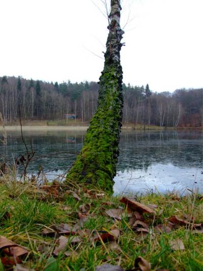Ośrodek Balaton Ośrodek Balaton