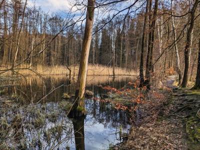 Ośrodek Balaton Ośrodek Balaton
