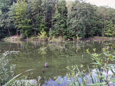 Ośrodek Balaton Ośrodek Balaton