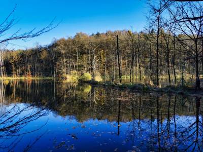 Ośrodek Balaton Ośrodek Balaton