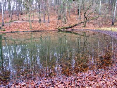 Ośrodek Balaton Ośrodek Balaton