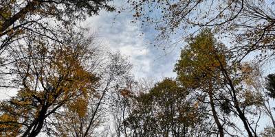 Ośrodek Balaton Ośrodek Balaton