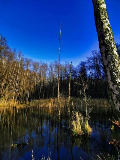 Ośrodek Balaton Ośrodek Balaton