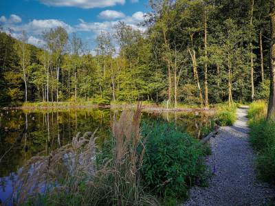 Ośrodek Balaton Ośrodek Balaton