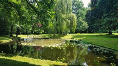 Pałac w Pławniowicach Pałac w Pławniowicach