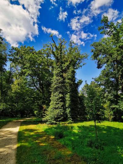 Park Renardów Park Renardów