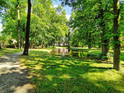Zamek Książąt Piastowskich w Strzelcach Opolskich Zamek Książąt Piastowskich w Strzelcach Opolskich