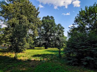 Park Renardów Park Renardów