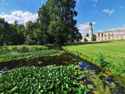 Zamek Książąt Piastowskich w Strzelcach Opolskich Zamek Książąt Piastowskich w Strzelcach Opolskich