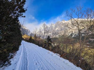 Wielecki Staw [Velické pleso]