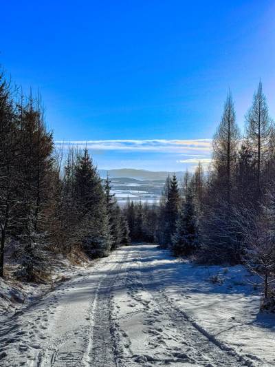 Wielecki Staw [Velické pleso]
