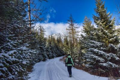 Wielecki Staw [Velické pleso]