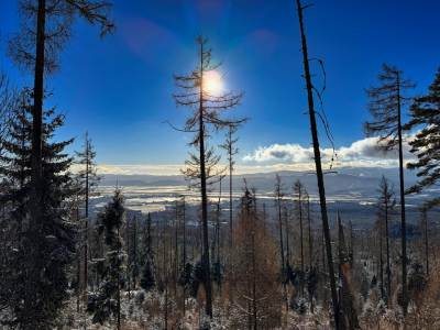 Wielecki Staw [Velické pleso]