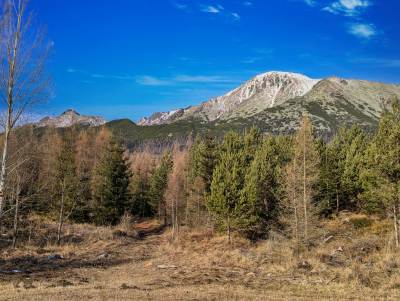 Wysokie Tatry [Vysoké Tatry]