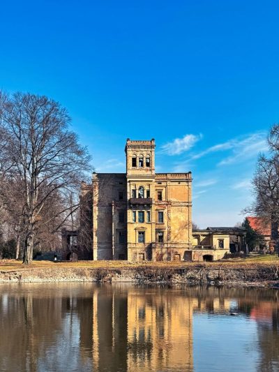 Pałac w Mrowinach Pałac w Mrowinach