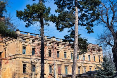 Pałac w Mrowinach Pałac w Mrowinach