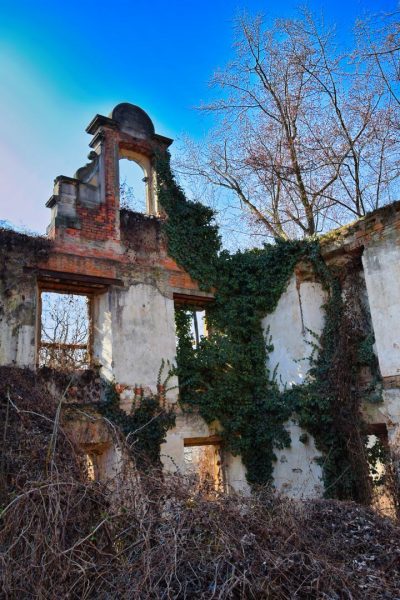 Pałac w Siedlimowicach Pałac w Siedlimowicach