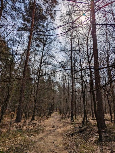 Zalew Starganiec, Dolina Jamny Zalew Starganiec, Dolina Jamny