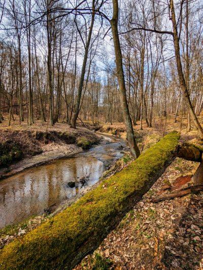 Dolina Jamny Dolina Jamny