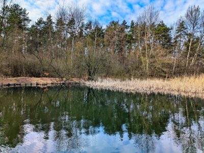 Zalew Starganiec Zalew Starganiec