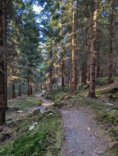 Czerniawska Kopa Czerniawska Kopa