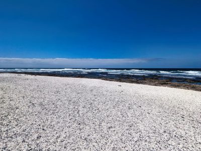 Fuertaventura Fuertaventura