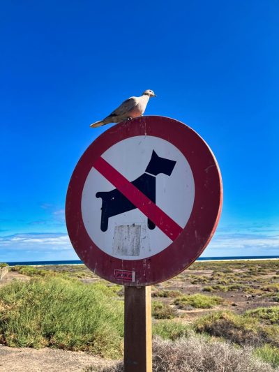 Fuertaventura Fuertaventura