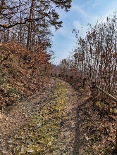 Jezioro Złotnickie Jezioro Złotnickie