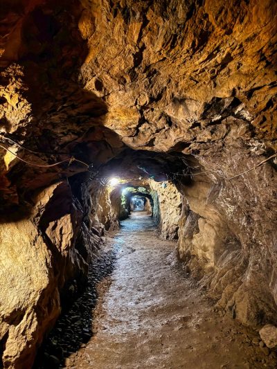 RIESE Kompleks Włodarz RIESE Kompleks Włodarz