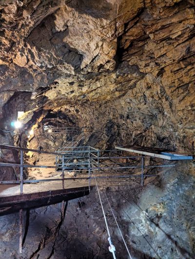 RIESE Kompleks Włodarz RIESE Kompleks Włodarz