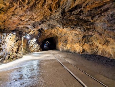 RIESE Kompleks Włodarz RIESE Kompleks Włodarz