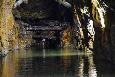 RIESE Kompleks Włodarz RIESE Kompleks Włodarz