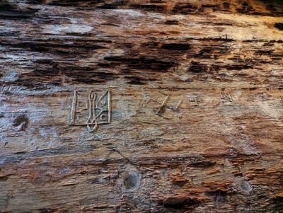 RIESE Kompleks Włodarz RIESE Kompleks Włodarz