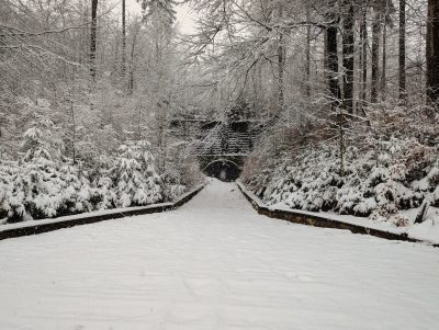 RIESE Kompleks Włodarz RIESE Kompleks Włodarz