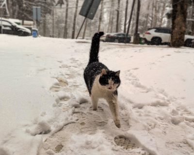 RIESE Kompleks Włodarz RIESE Kompleks Włodarz