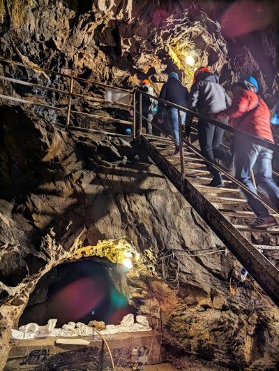 RIESE Kompleks Włodarz RIESE Kompleks Włodarz